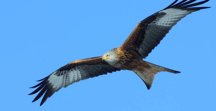 Nehmen Sie mit uns die Vogelperspektive ein